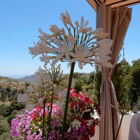 Bed & Breakfast Lagabella Sedella