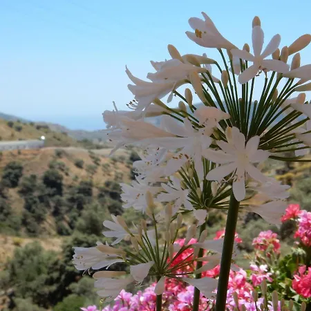 فندق مبيت وإفطار Lagabella *